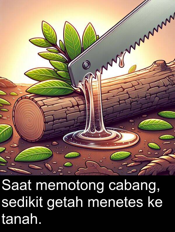 sedikit: Saat memotong cabang, sedikit getah menetes ke tanah.