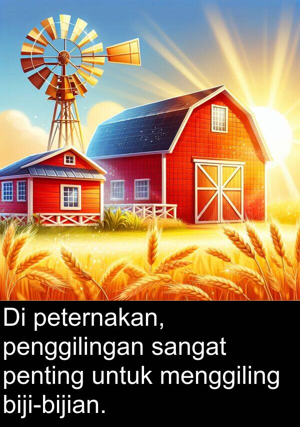 peternakan: Di peternakan, penggilingan sangat penting untuk menggiling biji-bijian.