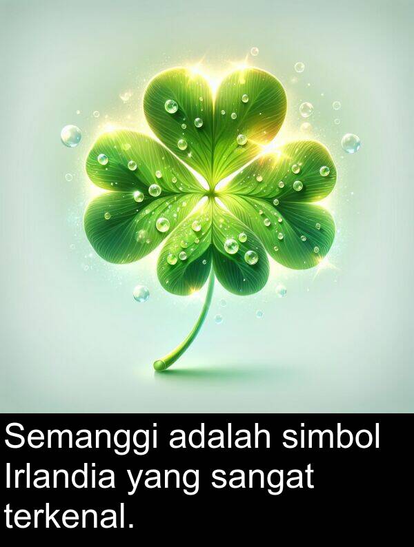 simbol: Semanggi adalah simbol Irlandia yang sangat terkenal.