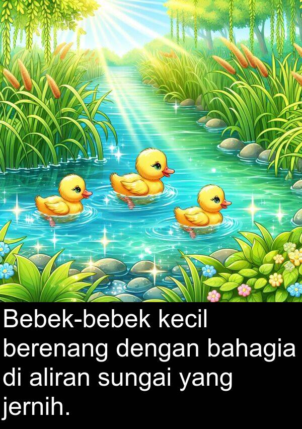 bahagia: Bebek-bebek kecil berenang dengan bahagia di aliran sungai yang jernih.