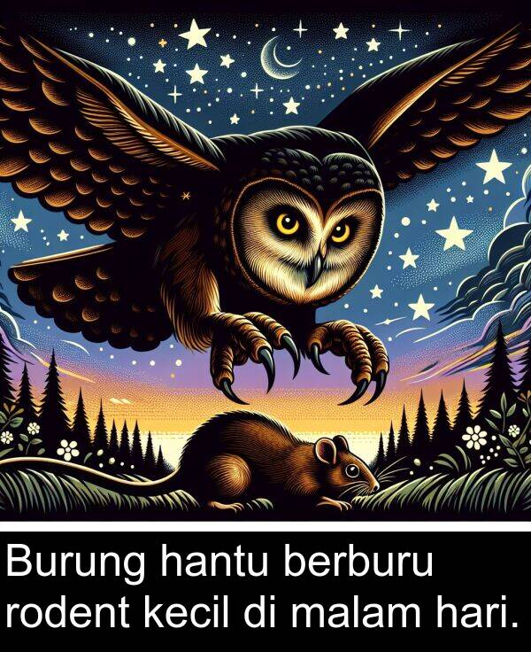 hantu: Burung hantu berburu rodent kecil di malam hari.