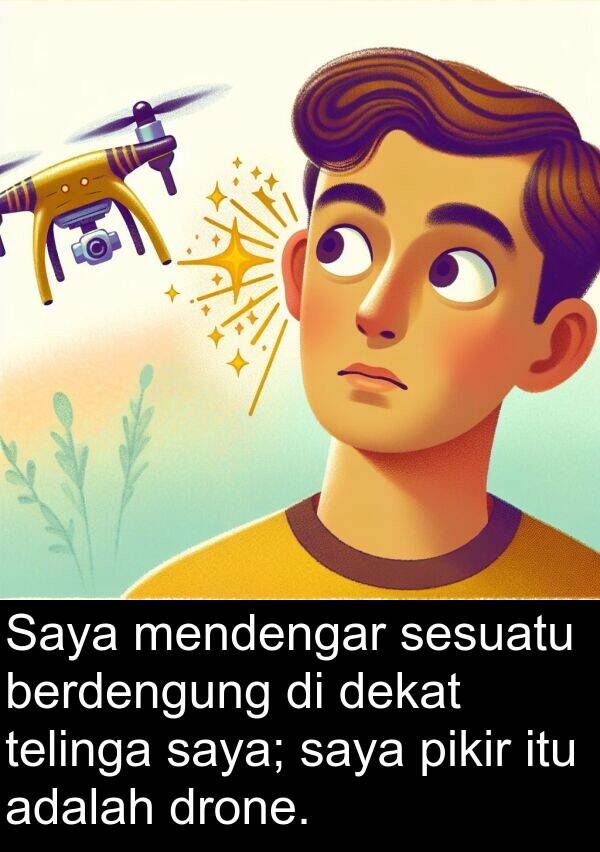 telinga: Saya mendengar sesuatu berdengung di dekat telinga saya; saya pikir itu adalah drone.