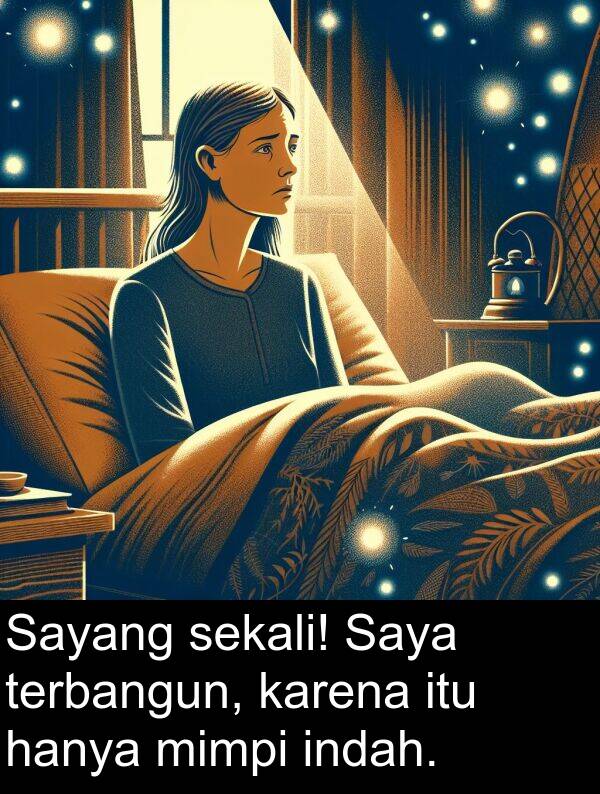 hanya: Sayang sekali! Saya terbangun, karena itu hanya mimpi indah.