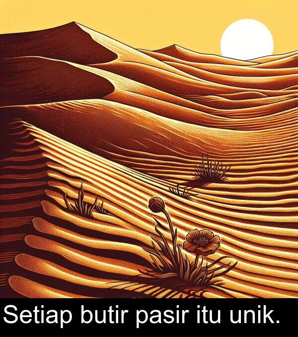 pasir: Setiap butir pasir itu unik.