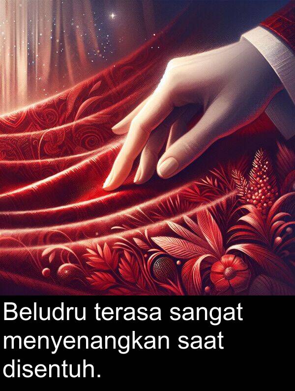 terasa: Beludru terasa sangat menyenangkan saat disentuh.