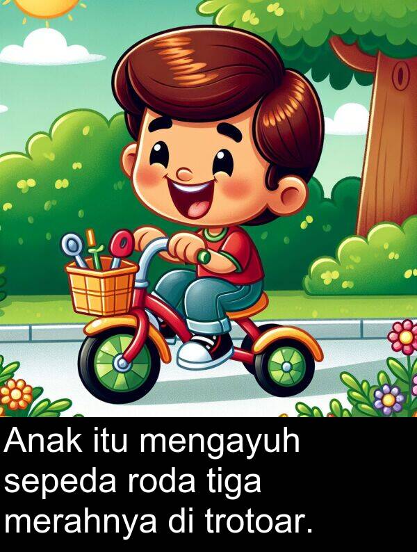 roda: Anak itu mengayuh sepeda roda tiga merahnya di trotoar.