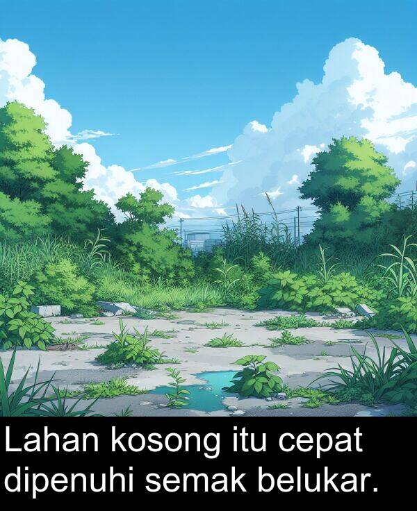 semak: Lahan kosong itu cepat dipenuhi semak belukar.