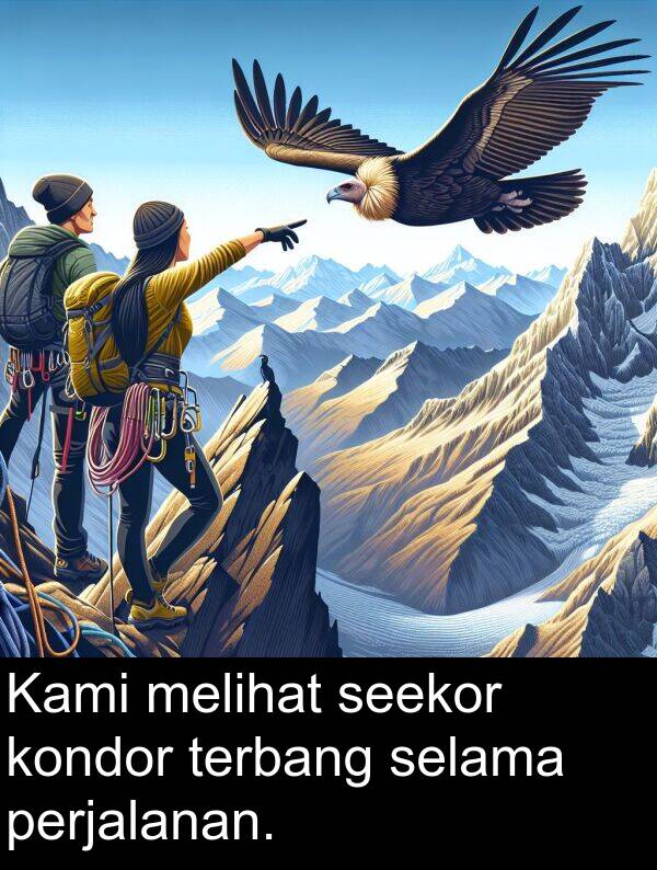 selama: Kami melihat seekor kondor terbang selama perjalanan.