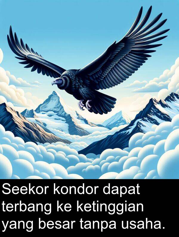 tanpa: Seekor kondor dapat terbang ke ketinggian yang besar tanpa usaha.