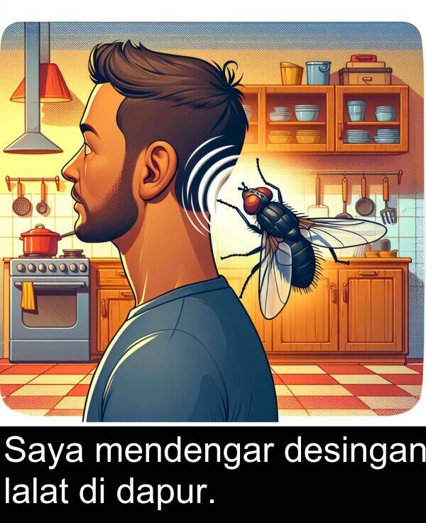 lalat: Saya mendengar desingan lalat di dapur.