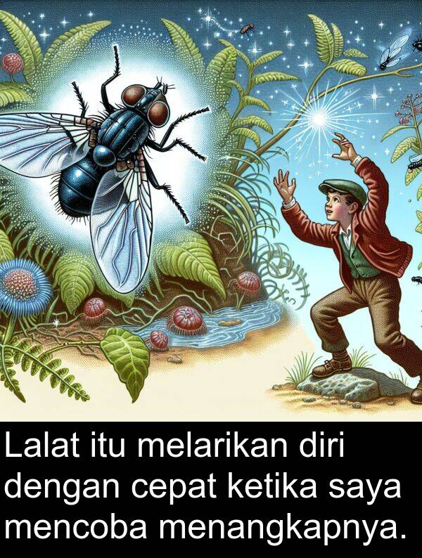 melarikan: Lalat itu melarikan diri dengan cepat ketika saya mencoba menangkapnya.