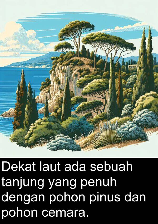 tanjung: Dekat laut ada sebuah tanjung yang penuh dengan pohon pinus dan pohon cemara.