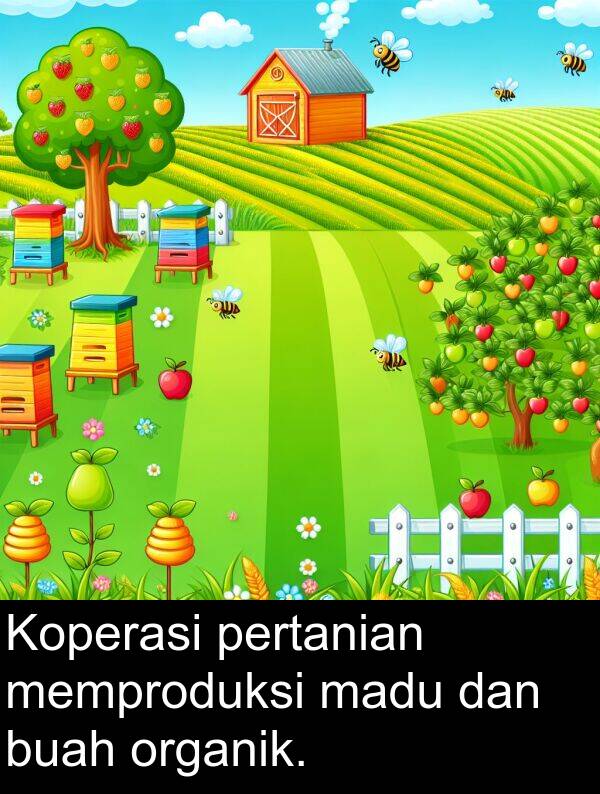 madu: Koperasi pertanian memproduksi madu dan buah organik.