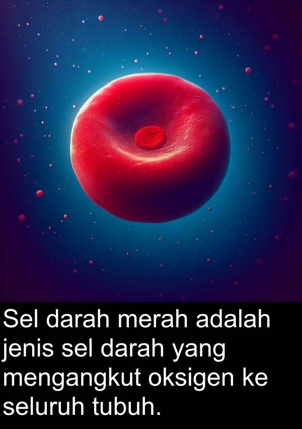 sel: Sel darah merah adalah jenis sel darah yang mengangkut oksigen ke seluruh tubuh.
