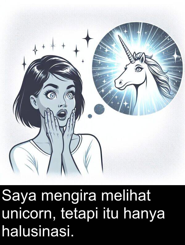 hanya: Saya mengira melihat unicorn, tetapi itu hanya halusinasi.