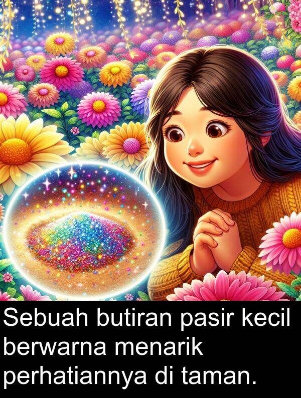 pasir: Sebuah butiran pasir kecil berwarna menarik perhatiannya di taman.