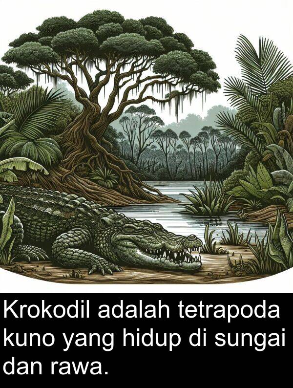hidup: Krokodil adalah tetrapoda kuno yang hidup di sungai dan rawa.