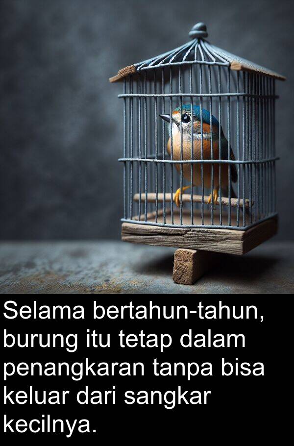 sangkar: Selama bertahun-tahun, burung itu tetap dalam penangkaran tanpa bisa keluar dari sangkar kecilnya.