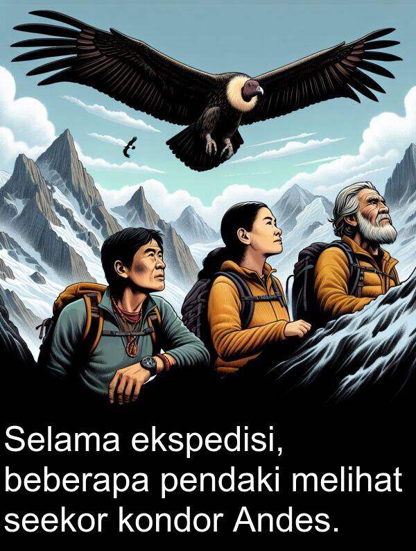 ekspedisi: Selama ekspedisi, beberapa pendaki melihat seekor kondor Andes.