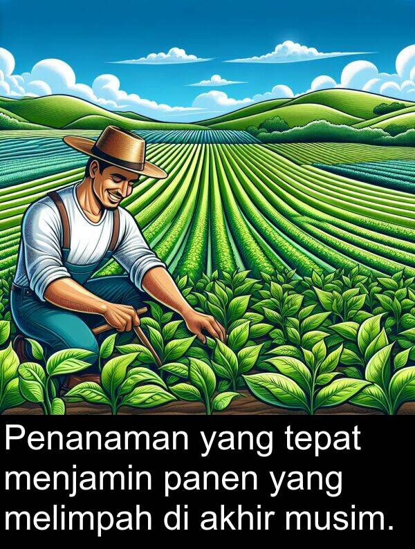 tepat: Penanaman yang tepat menjamin panen yang melimpah di akhir musim.