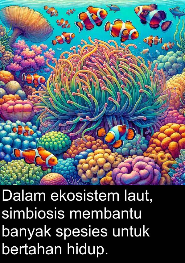 ekosistem: Dalam ekosistem laut, simbiosis membantu banyak spesies untuk bertahan hidup.
