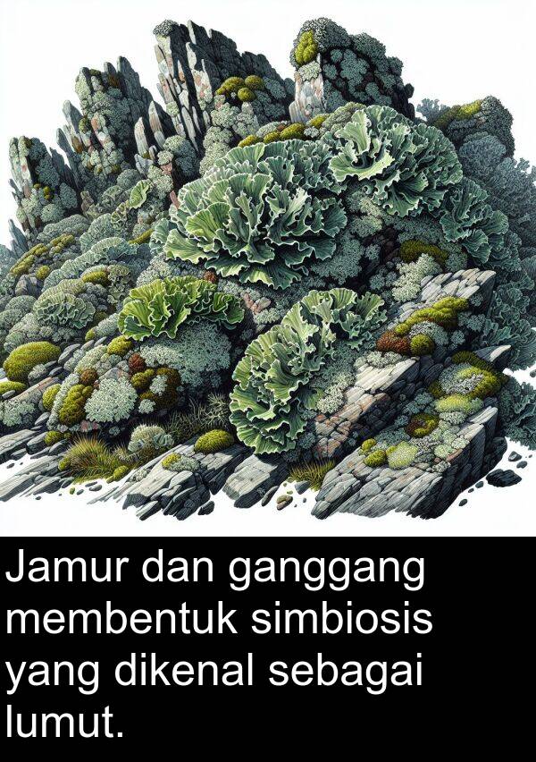 sebagai: Jamur dan ganggang membentuk simbiosis yang dikenal sebagai lumut.