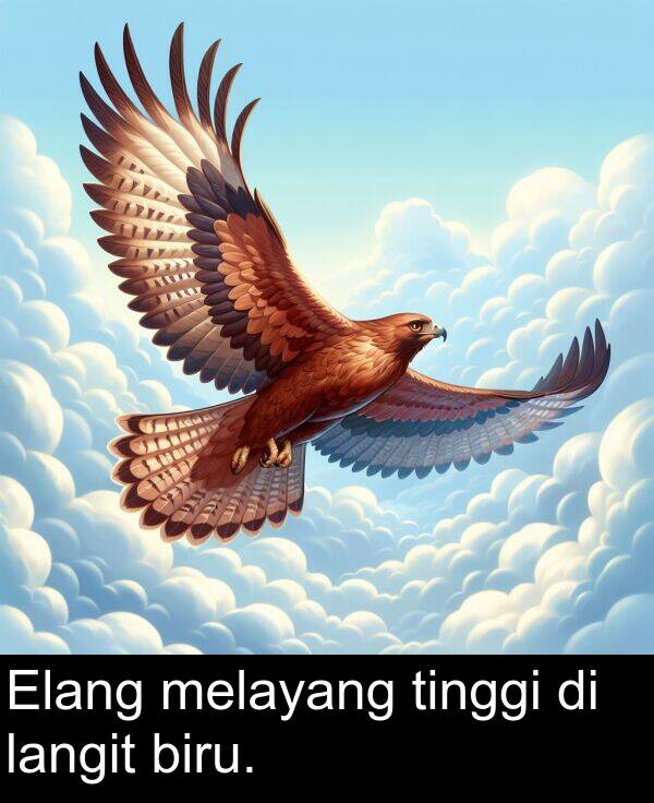 melayang: Elang melayang tinggi di langit biru.