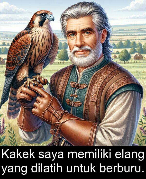 elang: Kakek saya memiliki elang yang dilatih untuk berburu.