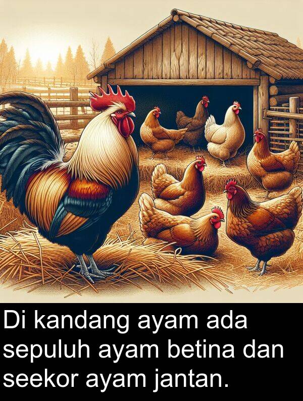 sepuluh: Di kandang ayam ada sepuluh ayam betina dan seekor ayam jantan.