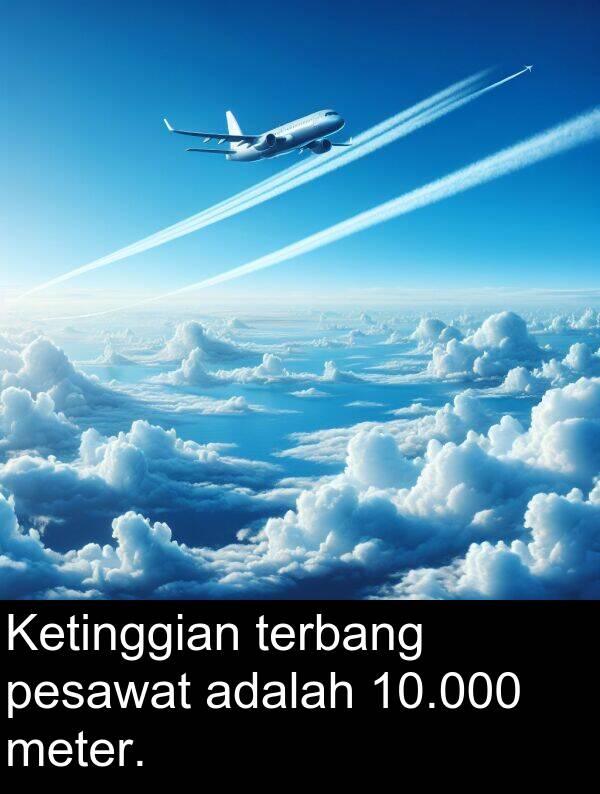 terbang: Ketinggian terbang pesawat adalah 10.000 meter.