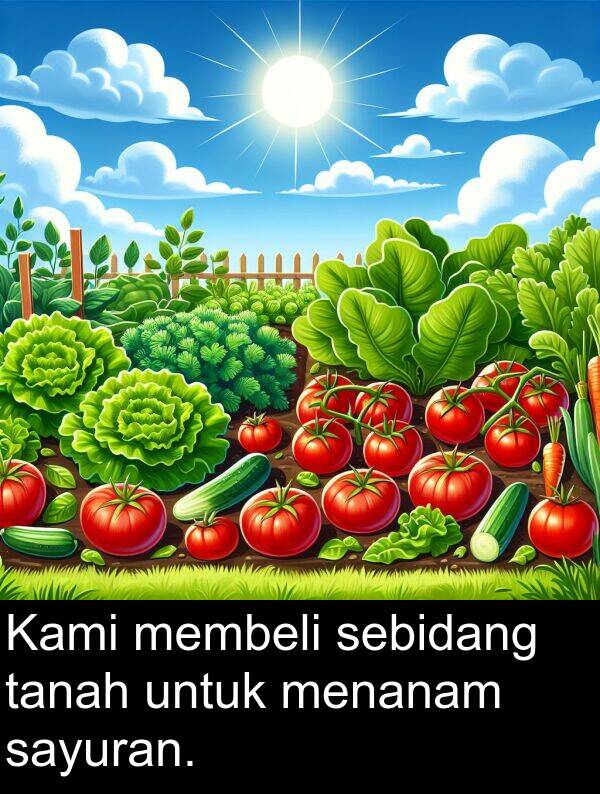 sebidang: Kami membeli sebidang tanah untuk menanam sayuran.