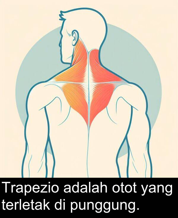 terletak: Trapezio adalah otot yang terletak di punggung.