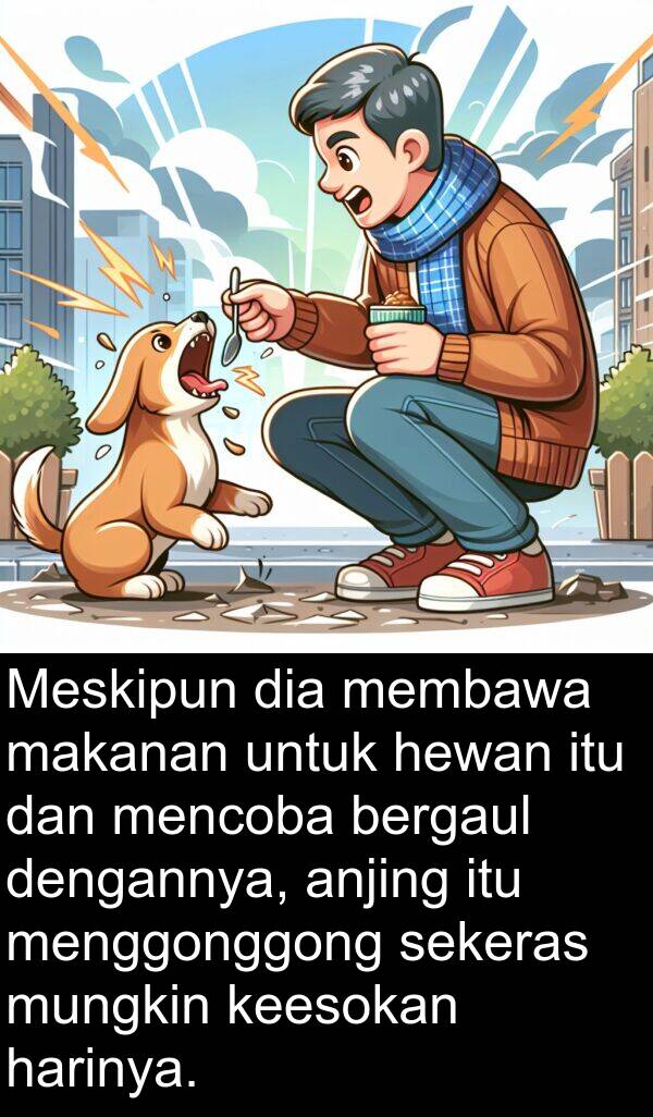 sekeras: Meskipun dia membawa makanan untuk hewan itu dan mencoba bergaul dengannya, anjing itu menggonggong sekeras mungkin keesokan harinya.