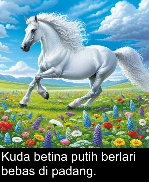 padang: Kuda betina putih berlari bebas di padang.