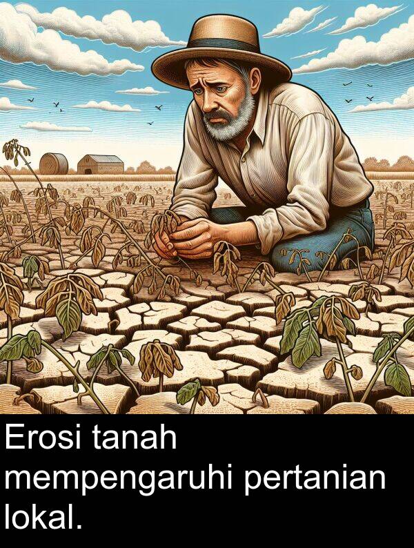pertanian: Erosi tanah mempengaruhi pertanian lokal.