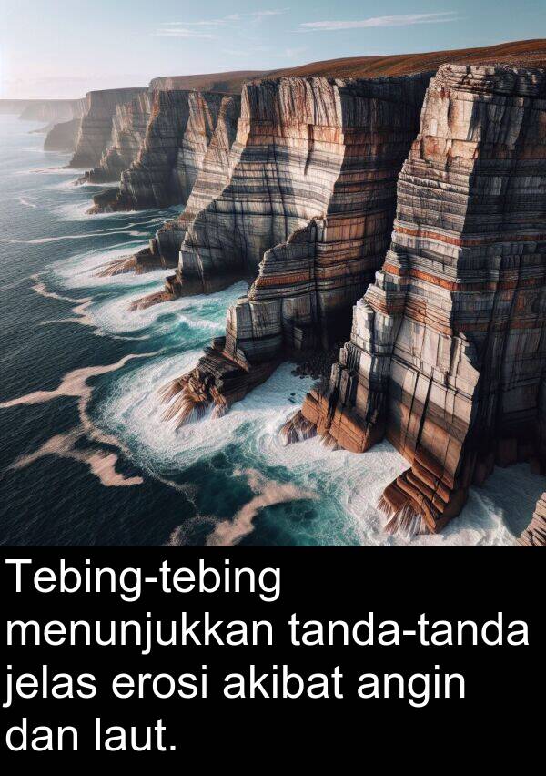 jelas: Tebing-tebing menunjukkan tanda-tanda jelas erosi akibat angin dan laut.