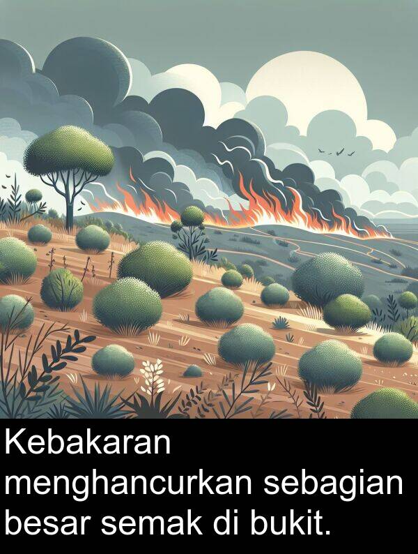 sebagian: Kebakaran menghancurkan sebagian besar semak di bukit.