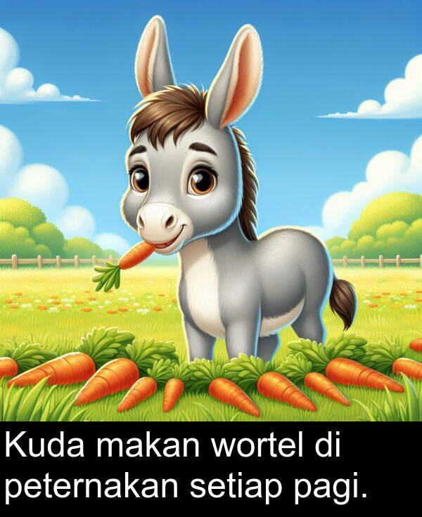 makan: Kuda makan wortel di peternakan setiap pagi.