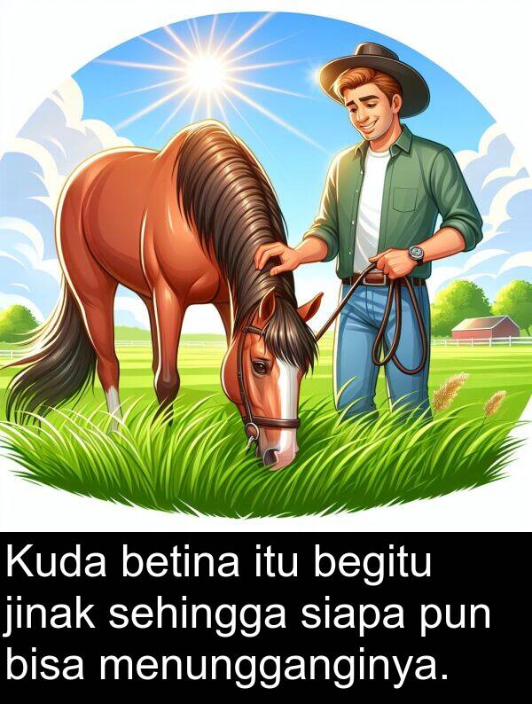 sehingga: Kuda betina itu begitu jinak sehingga siapa pun bisa menungganginya.