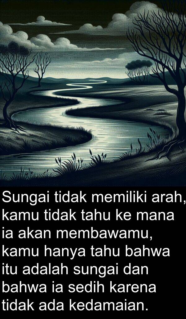 membawamu: Sungai tidak memiliki arah, kamu tidak tahu ke mana ia akan membawamu, kamu hanya tahu bahwa itu adalah sungai dan bahwa ia sedih karena tidak ada kedamaian.