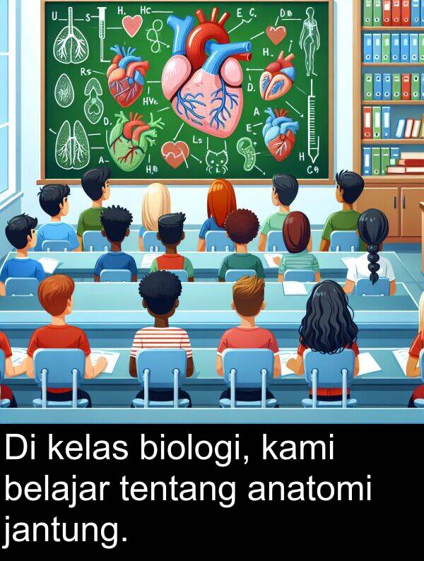 jantung: Di kelas biologi, kami belajar tentang anatomi jantung.