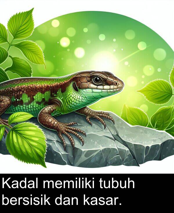 memiliki: Kadal memiliki tubuh bersisik dan kasar.