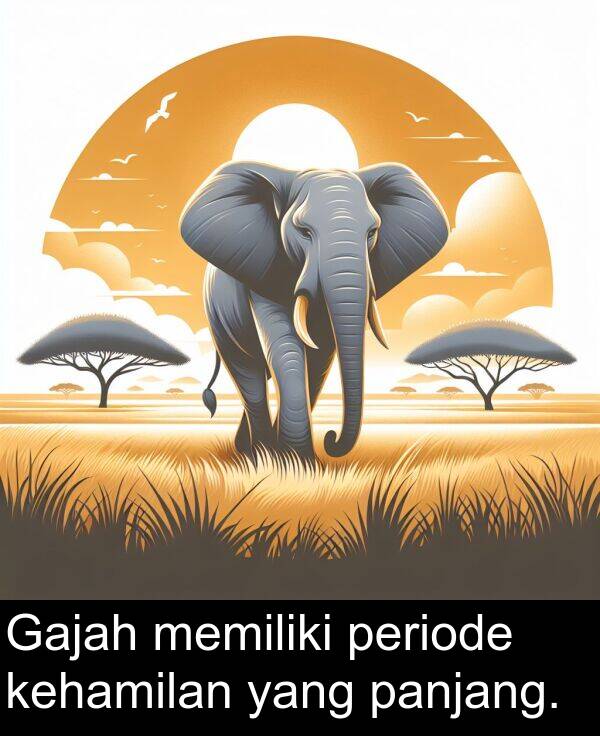 periode: Gajah memiliki periode kehamilan yang panjang.
