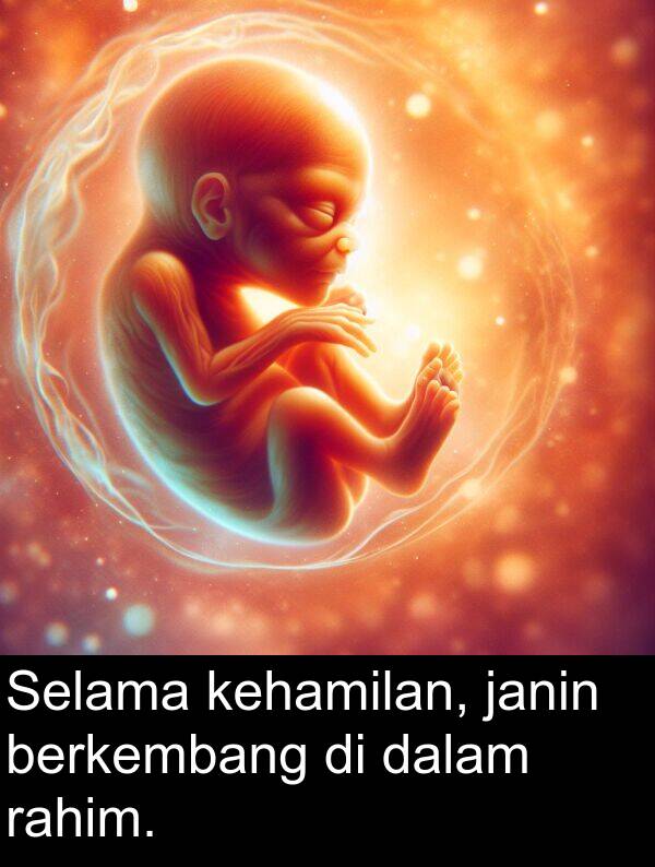 janin: Selama kehamilan, janin berkembang di dalam rahim.
