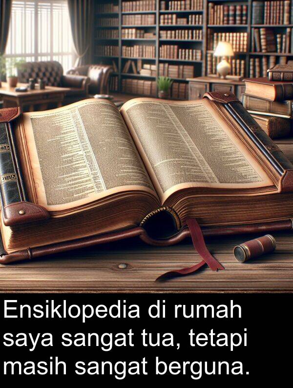 berguna: Ensiklopedia di rumah saya sangat tua, tetapi masih sangat berguna.