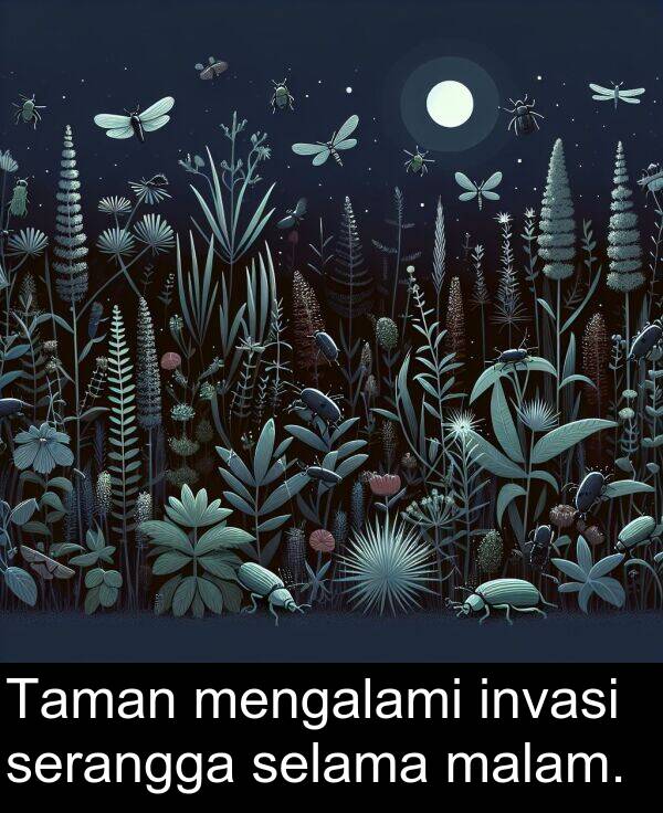 serangga: Taman mengalami invasi serangga selama malam.