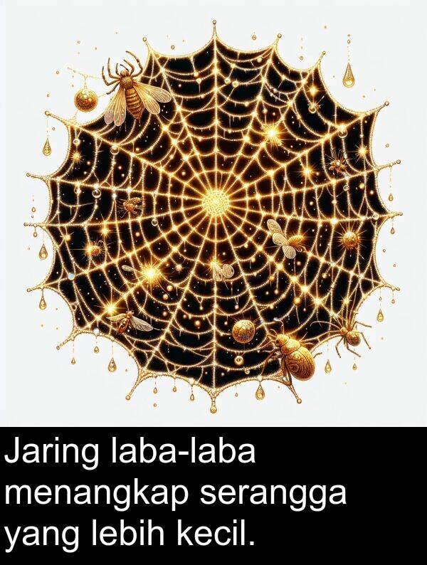 serangga: Jaring laba-laba menangkap serangga yang lebih kecil.