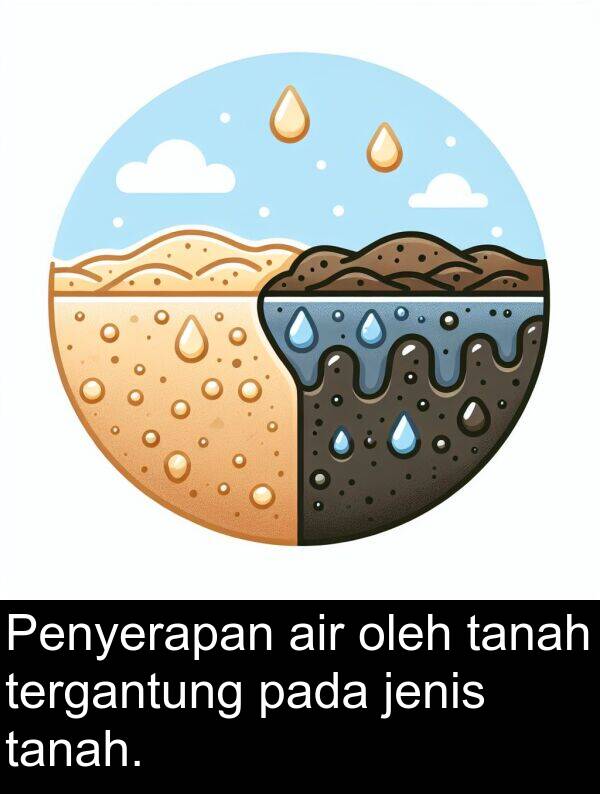 jenis: Penyerapan air oleh tanah tergantung pada jenis tanah.
