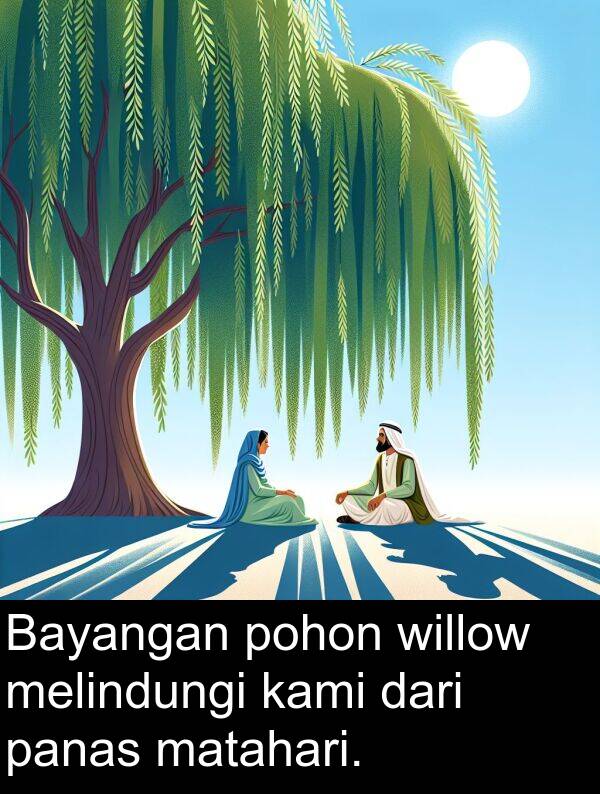 panas: Bayangan pohon willow melindungi kami dari panas matahari.