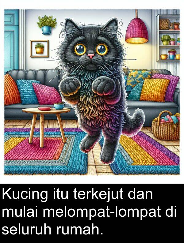 seluruh: Kucing itu terkejut dan mulai melompat-lompat di seluruh rumah.